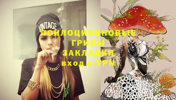 эйфоретик Алексин