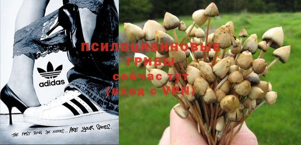 кокаин перу Алзамай